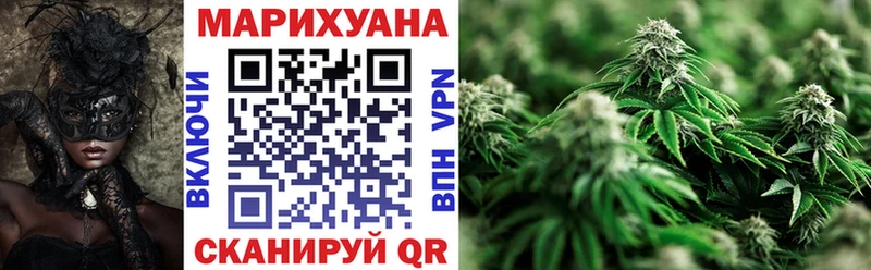 Бошки Шишки семена продажа наркотиков Дагестанские Огни